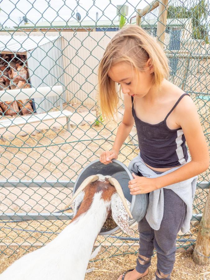 Wallaroo Holiday Park Eksteriør bilde